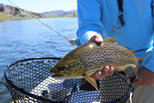 What are the best hooks to use for catching a rainbow trout?