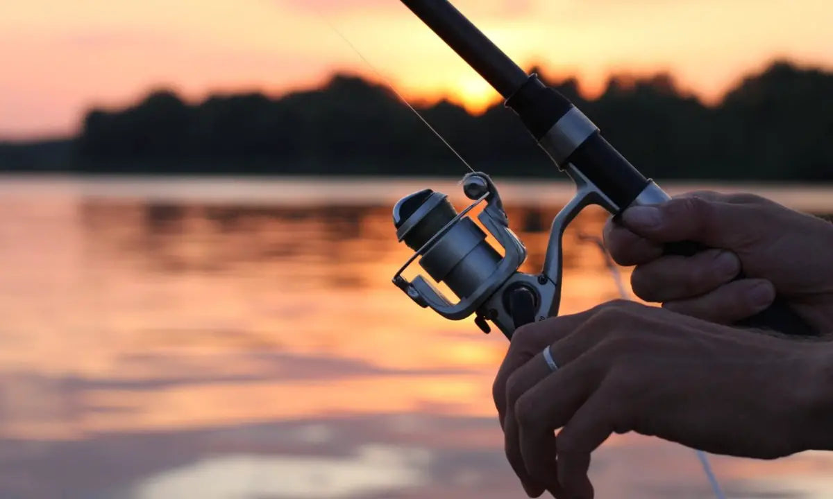 Premium Rods and Reels Collection for Ultimate Fishing Performance