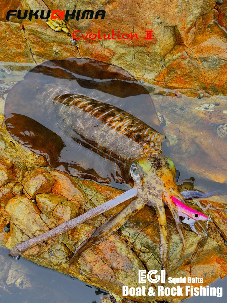FUKUSHIMA 3.5 Squid Jig  21g