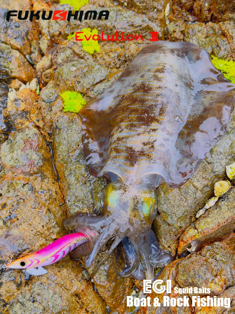 FUKUSHIMA 3.5 Squid Jig  21g