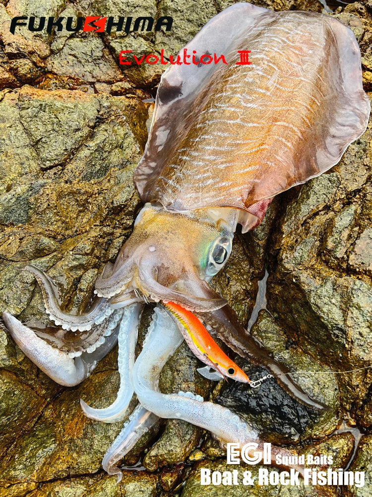 FUKUSHIMA 3.5 Squid Jig  21g